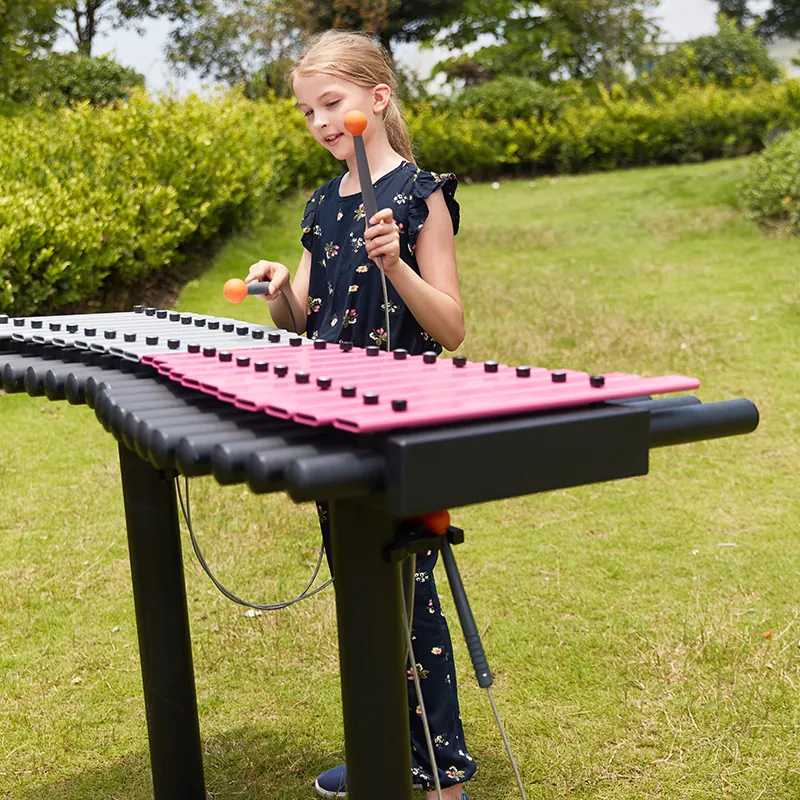 Duo Cotla waho Xylophone